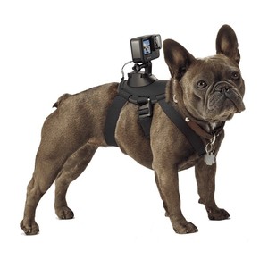 Compatible avec les accessoires <span class=keywords><strong>GoPro</strong></span>, sangle fixe pour chien Fetch, sangle de poitrine pour caméra sportive DJI pour la prise de vue à angle large des animaux de compagnie - Product Image 4