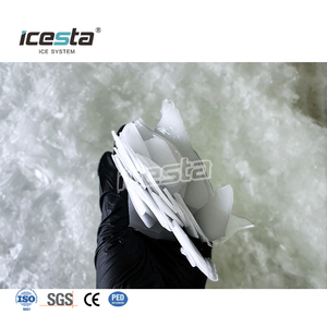Máquina de Hielo en Escamas para Pequeños Negocios en China, 300kg, 500kg, 1t, de ICESTA para Supermercados - Product Image 2