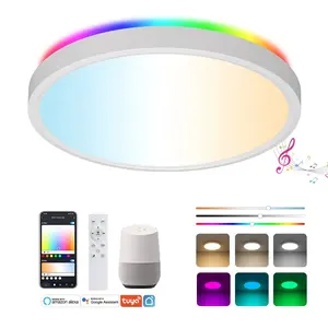 Luce domestica per interni 24W plafoniera Smart WIFI Tuya Voice Control RGB decorazione a colori 300mm LED a filo