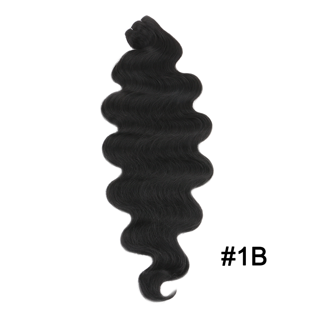 #1B