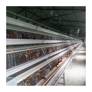 Poultry Equipment A Type Egg Layer Laying Full Automatic Battery Chicken Cage