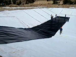 Waterproofing एचडीपीई <span class=keywords><strong>Geomembrane</strong></span> प्लास्टिक मछली फार्म टैंक - Product Image 6