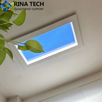 Panneau de diffusion de lumière LED intelligent professionnel Rina-Tech pour plafond, contrôle APP/WIFI, matériau PMMA/PC, personnalisable