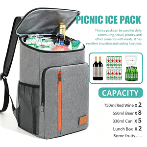 Sacs à dos personnalisés avec logo, grande capacité, sac isotherme, pliable, double usage, sacs isothermes pour le camping et les pique-niques - Product Image 2