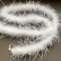 Bandes de plumes d'autruche 8-10 cm, style sportif, utilisation quatre saisons, vente en gros, fournitures de bricolage, garnitures de vêtements, décorations