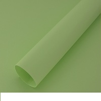 Sentao Paper 250 Gsm 31x43 Inch A4 A3 12X12 Inch Smooth Color Paperboard Paper Cardstock for Tag and Bag