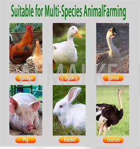 Động vật Thức ăn viên <span class=keywords><strong>Mill</strong></span>/<span class=keywords><strong>2025</strong></span> bán chạy nhất Thức ăn viên máy/gia cầm trang trại pelletizer - Product Image 5