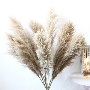<span class=keywords><strong>Flores</strong></span> Secas de Yunnan, Cañas Pequeñas, Juego de Cañas, Madera de Caña, Suministros, Estilo Salvaje - Product Image 3