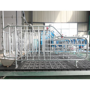 Cage de gestation pour porcs durable et anti-corrosion avec mangeoires, en acier galvanisé à chaud, longue durée de vie pour élevages porcins - Product Image 5