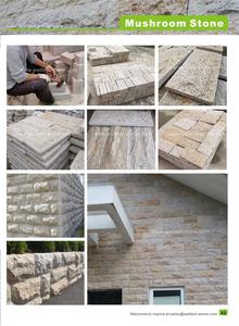 <span class=keywords><strong>Granite</strong></span> <span class=keywords><strong>basalt</strong></span> nấm <span class=keywords><strong>slab</strong></span> gạch cho ngoại thất và nội thất Ốp - Product Image 4