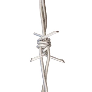 Bobine de fil de fer barbelé polarisé pour rasoir, à bas prix, en argent <span class=keywords><strong>blanc</strong></span> ou PVC, Protection de la couleur, 1 pièce - Product Image 1