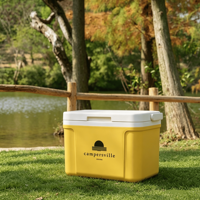 Glacière portable 8L, qualité alimentaire PP, isolation thermique, maintien au frais 48h, plusieurs couleurs, mini-réfrigérateur pour camping et pique-nique