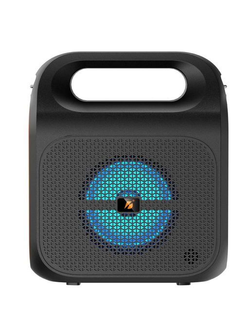 KTS2469 Wireless Portable Outdoor BT Speaker with FM Radio and Torch Light Factory Price Wholesale OEM