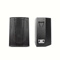 Système audio OEM d'usine avec haut-parleur large bande de 10 pouces (250W-500W) pour scène extérieure et performance intérieure