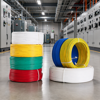 Kabel Tembaga Inti Tunggal Berisolasi PVC IP20 BV RV BLV BVR untuk Kabinet Kontrol, Papan Distribusi, dan Pengkabelan Peralatan