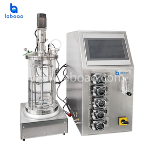 LABOAO Benchtop 1L 2L 3L 5L 7L 10L Bioréacteur en verre Fermenteur de laboratoire pour la culture de bactéries - Product Image 3
