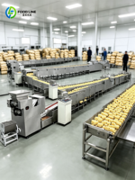 Chaîne de production de nouilles instantanées compacte pour la vente au détail avec machine à pâtes électrique en acier inoxydable