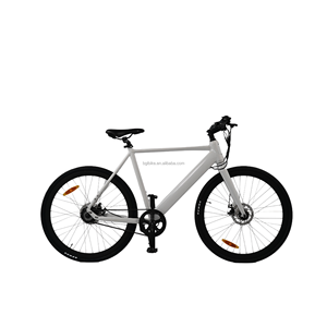 OEM Thiết Kế Cổ Điển Điện Xe Đạp Đường Ebike 48V 250W Ổ Đĩa Vành Đai Xe Đạp Điện Nội Bộ Biến Tốc Độ Sẵn Sàng Để Tàu Trong Kho - Product Image 1