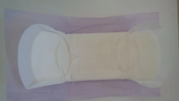 Fournisseur de produits de Chine Serviettes hygiéniques de luxe minces OEM Airlaid Paper Fluff Pulp Anion Chip Sanitary Panty Liners