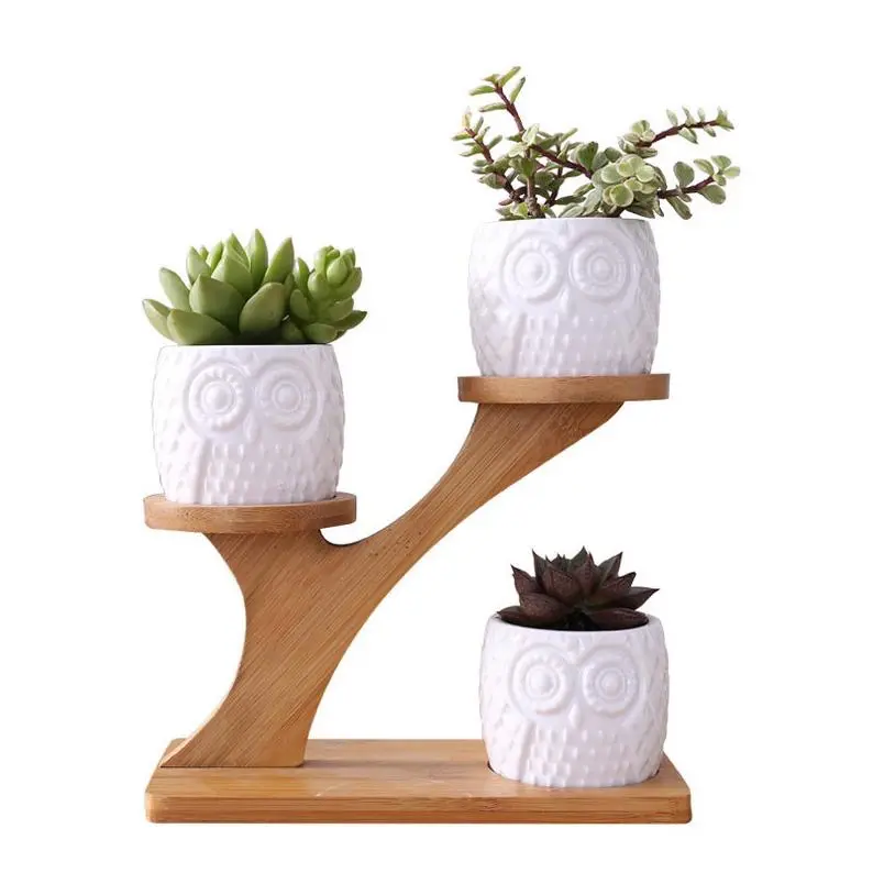 1 Set Uil Keramische Tuin Bloempot Vetplant Pot 3 Bonsai Planter Met 3 Tiers Bamboe Plank Thuis Tuin decor