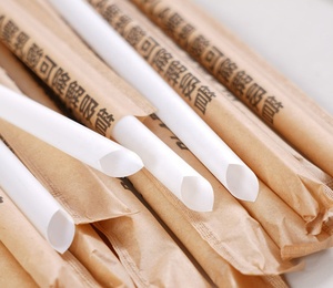 Pajitas Jumbo 100% Biodegradables de PLA, Envueltas en Papel, con Punta Inclinada para Té de Burbujas, Smoothies y <span class=keywords><strong>Batidos</strong></span> - Product Image 2