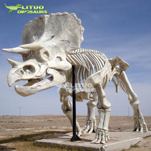 Modèles de squelette de dinosaure géant, images de géomparc, taille réaliste - Product Image 2