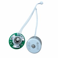 OEM Custom Massage Gun Motor BL3530W 7.4V Outer Rotor High Efficiency Low Vibration IP55 Rated Flange Mount for Home Appliance