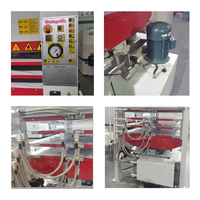 Presse hydraulique à chaud monocouche Vario Press VP8-48/12(1)HRC pour panneaux de porte en contreplaqué, panneaux à base de bois, machines à bois