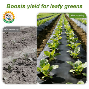 Film de paillage agricole en plastique à haut rendement Garden Bee, stimulant la production de légumes-feuilles, film de paillage dégradable à l'<span class=keywords><strong>acide</strong></span> fulvique - Product Image 4
