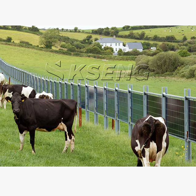 Solar Panel Mount Structure Solar Mounting System Vertical Bifacial Agri Pv