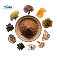 Mélange d'extraits de champignons premium 10 en 1, soutien à l'immunité, santé, Reishi, Cordyceps, Crinière de lion, Chaga, capsule