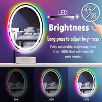 Miroir de salle de bain ovale LED 32x24 pouces avec changement de couleur RVB, anti-buée, mémoire intelligente, cadre métallique mural pour salle de bain