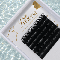 Extensions de cils pré-faits en éventail, type Manga Wispy Cosplay, avec pointes, volume, 0.05 0.07mm, effet mouillé, fournitures pour cils