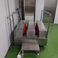 Machine de lavage automatique de semelles et de tiges de bottes en acier inoxydable SUS304 pour usine alimentaire