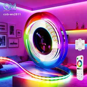 Светодиодная лента RGBIC, цветная, для подсветки под потолком, 20 м, RGB, интеллектуальная светодиодная лента для крыши - Product Image 1