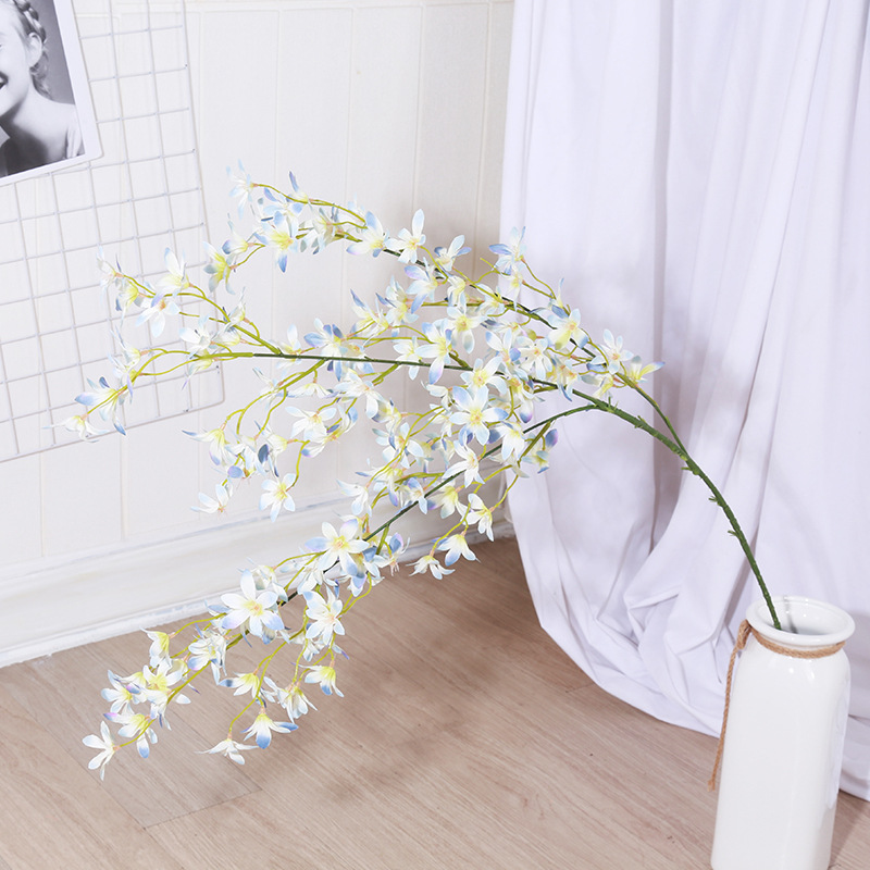 White+blue
