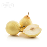 Groothandelsprijs Verse Peren Chinese Leverancier Import Bulk Peren Nieuwe Oogst Export