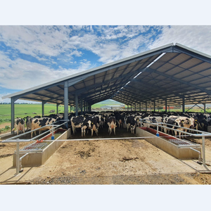 מודרני מסורתי טרומי מבנה פלדה טרומי מסגרת פרה עבור משק בקר חלב בנייה מהירה בית בקר - Product Image 6