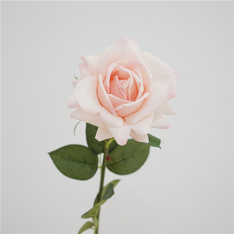 rosa claro