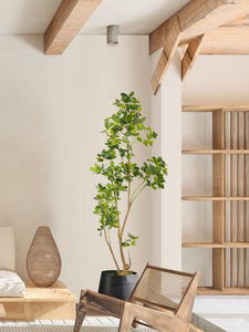 Venta al por mayor PE PVC plantas artificiales decorativas Schefflera <span class=keywords><strong>arboricola</strong></span> árboles para la decoración interior y exterior - Product Image 6