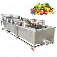 Industriële Verse Groente Fruit Reiniging Drogen Verwerking Machines Droge Data Wasmachine Voor Verkoop