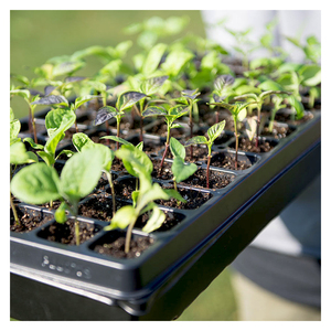 <span class=keywords><strong>Plateau</strong></span> de <span class=keywords><strong>germination</strong></span> pour semis avec dôme d'humidité - Product Image 5