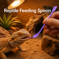 Cuillère pour reptiles, outil d'alimentation à long manche pour mélanger la poudre et les fruits, adapté aux gecko cranté, gargoyle, dragon barbu