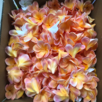 K-0048 Fleurs artificielles Plumeria et Hibiscus au toucher réel, en mousse souple, pour décoration de mariage, plusieurs couleurs