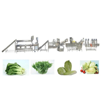 Geavanceerde roestvrijstalen multi-borstelrol fruit- en groenteschilmachine voor voedselverwerking