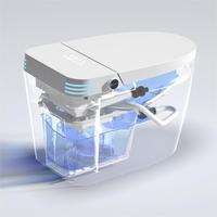 Mise à niveau de luxe: siège de toilette intelligent avec conception sans réservoir et télécommande