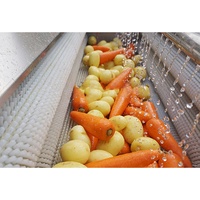 Machine à laver à éplucher le gingembre haute efficacité Racine Légumes Fruits Gingembre Machine de nettoyage de pommes de terre