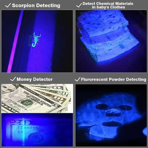 Pocket Stainless Steel 395nm <strong>UV</strong> <strong>Flashlight</strong> Mini Portable Black Light Ultraviolet Keychain Light for Money Detection - Product Image 6