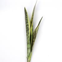 Plante artificielle en pot, bonsaï, écologique, pour intérieur/extérieur, fleur de Noël, mur végétal personnalisé, décoration haut de gamme pour la maison, plantes artificielles