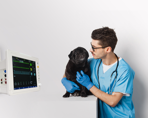 पालतू ईग स्पू2 निब निगरानी पशु चिकित्सा पालतू पशु क्लिनिक अस्पताल के लिए - Product Image 5